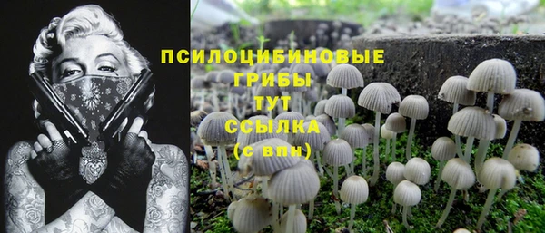 MESCALINE Заводоуковск